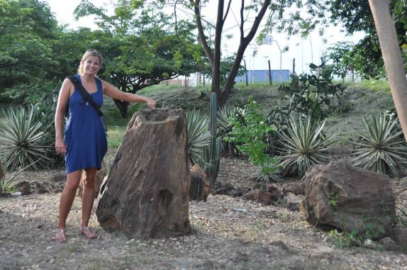Visitando a Floresta Petrificada, em Teresina - PI